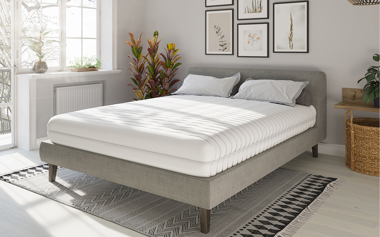 Евита Беспружинные Visco Gold фото 3